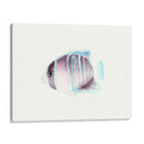 Acuarela Pescados Tropicales Iii - Naomi McCavitt | Cuadro decorativo de Canvas Lab