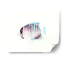 Acuarela Pescados Tropicales Iii - Naomi McCavitt | Cuadro decorativo de Canvas Lab