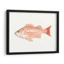 Acuarela Pescado Mar Profundo I - Naomi McCavitt | Cuadro decorativo de Canvas Lab