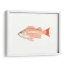Acuarela Pescado Mar Profundo I - Naomi McCavitt | Cuadro decorativo de Canvas Lab