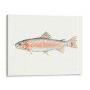 Acuarela Pescado Mar Profundo Ii - Naomi McCavitt | Cuadro decorativo de Canvas Lab