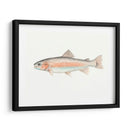 Acuarela Pescado Mar Profundo Ii - Naomi McCavitt | Cuadro decorativo de Canvas Lab