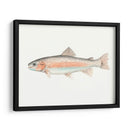 Acuarela Pescado Mar Profundo Ii - Naomi McCavitt | Cuadro decorativo de Canvas Lab