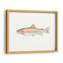 Acuarela Pescado Mar Profundo Ii - Naomi McCavitt | Cuadro decorativo de Canvas Lab