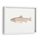 Acuarela Pescado Mar Profundo Ii - Naomi McCavitt | Cuadro decorativo de Canvas Lab