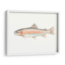 Acuarela Pescado Mar Profundo Ii - Naomi McCavitt | Cuadro decorativo de Canvas Lab