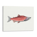 Acuarela Pescado Profundo De Mar Iii - Naomi McCavitt | Cuadro decorativo de Canvas Lab