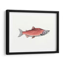 Acuarela Pescado Profundo De Mar Iii - Naomi McCavitt | Cuadro decorativo de Canvas Lab