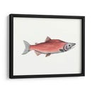 Acuarela Pescado Profundo De Mar Iii - Naomi McCavitt | Cuadro decorativo de Canvas Lab