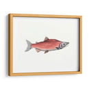 Acuarela Pescado Profundo De Mar Iii - Naomi McCavitt | Cuadro decorativo de Canvas Lab