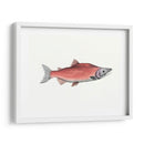 Acuarela Pescado Profundo De Mar Iii - Naomi McCavitt | Cuadro decorativo de Canvas Lab