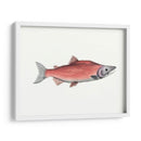 Acuarela Pescado Profundo De Mar Iii - Naomi McCavitt | Cuadro decorativo de Canvas Lab