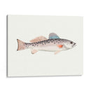 Acuarela Pescado Mar Profundo Iv - Naomi McCavitt | Cuadro decorativo de Canvas Lab