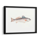 Acuarela Pescado Mar Profundo Iv - Naomi McCavitt | Cuadro decorativo de Canvas Lab