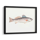 Acuarela Pescado Mar Profundo Iv - Naomi McCavitt | Cuadro decorativo de Canvas Lab