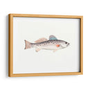 Acuarela Pescado Mar Profundo Iv - Naomi McCavitt | Cuadro decorativo de Canvas Lab