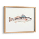 Acuarela Pescado Mar Profundo Iv - Naomi McCavitt | Cuadro decorativo de Canvas Lab