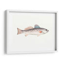 Acuarela Pescado Mar Profundo Iv - Naomi McCavitt | Cuadro decorativo de Canvas Lab