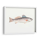 Acuarela Pescado Mar Profundo Iv - Naomi McCavitt | Cuadro decorativo de Canvas Lab