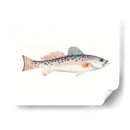 Acuarela Pescado Mar Profundo Iv - Naomi McCavitt | Cuadro decorativo de Canvas Lab