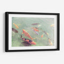 Koi Reflexiones Ii - Alicia Ludwig | Cuadro decorativo de Canvas Lab