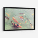 Koi Reflexiones Ii - Alicia Ludwig | Cuadro decorativo de Canvas Lab