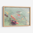 Koi Reflexiones Ii - Alicia Ludwig | Cuadro decorativo de Canvas Lab