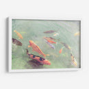 Koi Reflexiones Ii - Alicia Ludwig | Cuadro decorativo de Canvas Lab