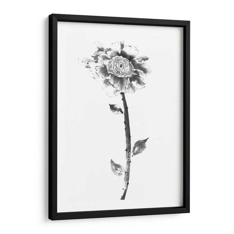 Rosa De Tinta - Nan Rae | Cuadro decorativo de Canvas Lab