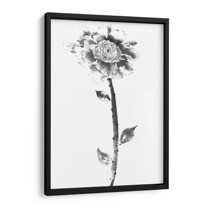 Rosa De Tinta - Nan Rae | Cuadro decorativo de Canvas Lab