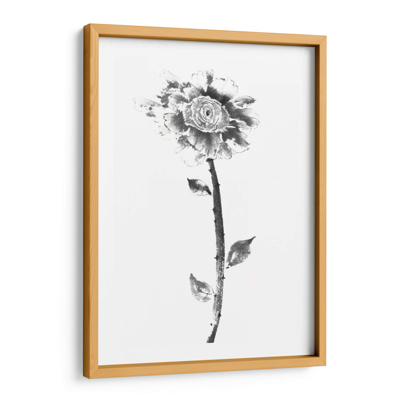 Rosa De Tinta - Nan Rae | Cuadro decorativo de Canvas Lab