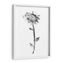 Rosa De Tinta - Nan Rae | Cuadro decorativo de Canvas Lab