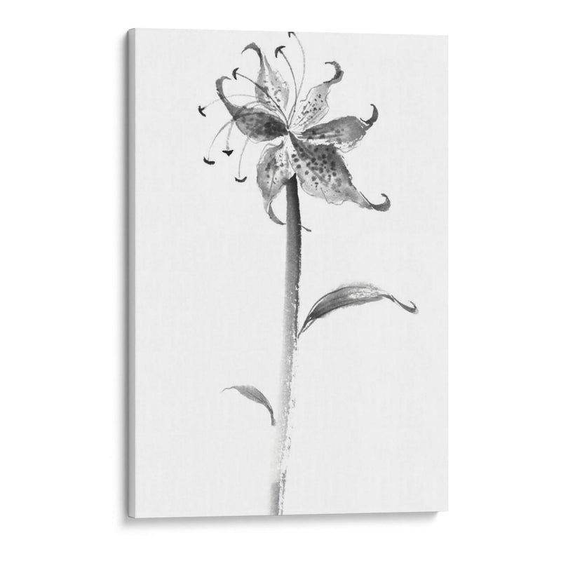 Tinta Tiger Lily - Nan Rae | Cuadro decorativo de Canvas Lab