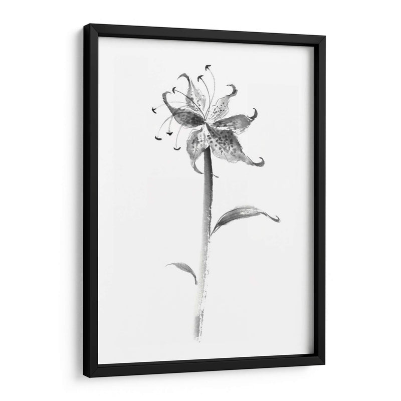 Tinta Tiger Lily - Nan Rae | Cuadro decorativo de Canvas Lab