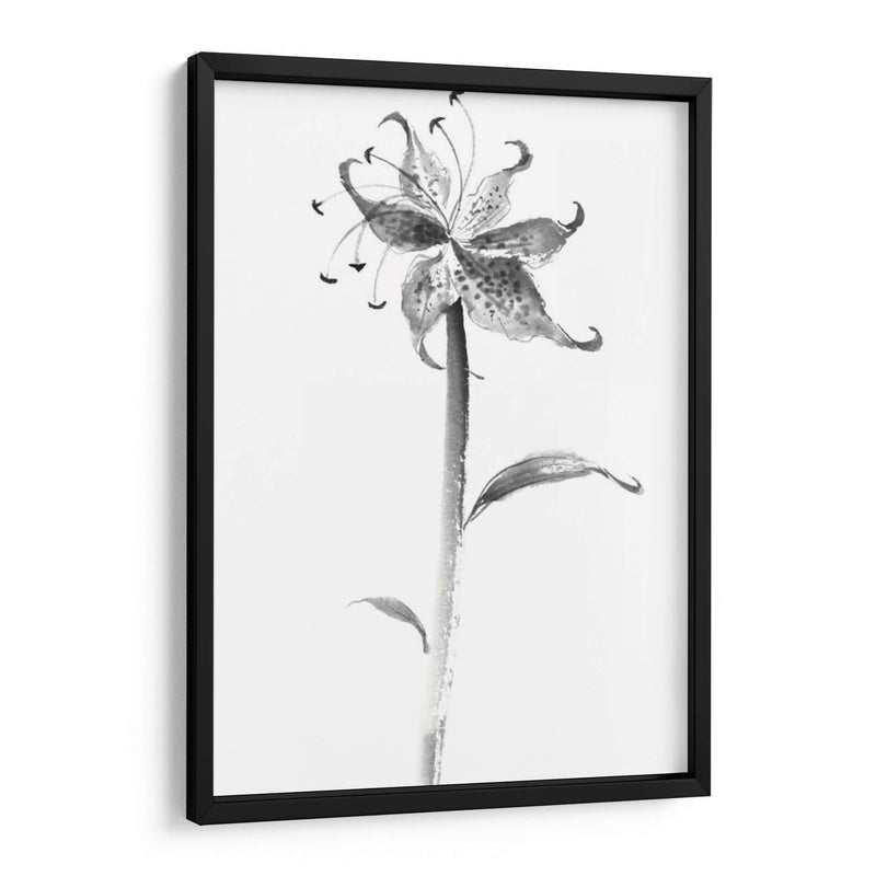 Tinta Tiger Lily - Nan Rae | Cuadro decorativo de Canvas Lab