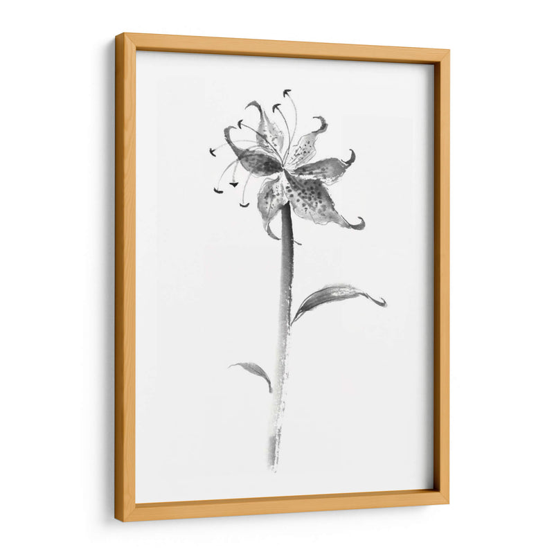 Tinta Tiger Lily - Nan Rae | Cuadro decorativo de Canvas Lab