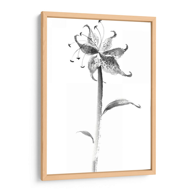 Tinta Tiger Lily - Nan Rae | Cuadro decorativo de Canvas Lab