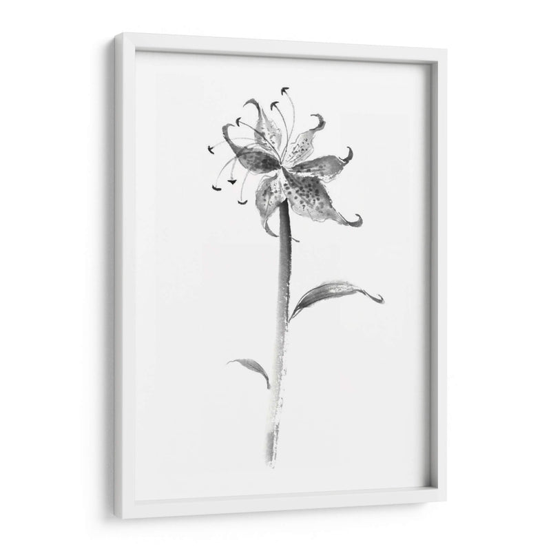 Tinta Tiger Lily - Nan Rae | Cuadro decorativo de Canvas Lab