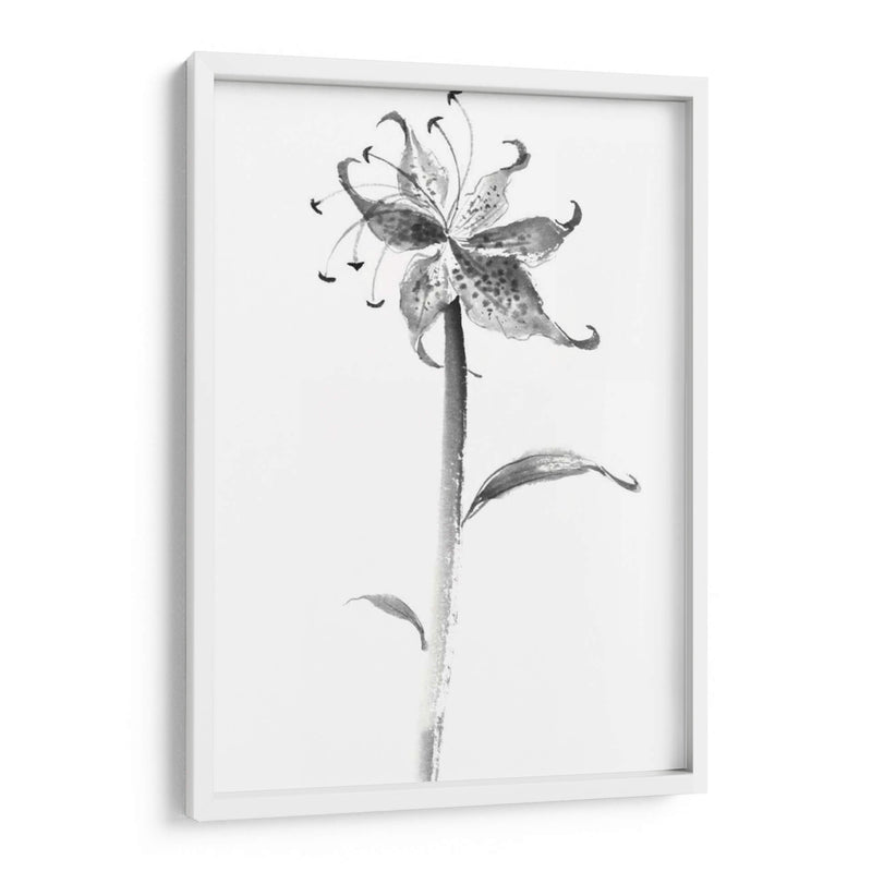 Tinta Tiger Lily - Nan Rae | Cuadro decorativo de Canvas Lab