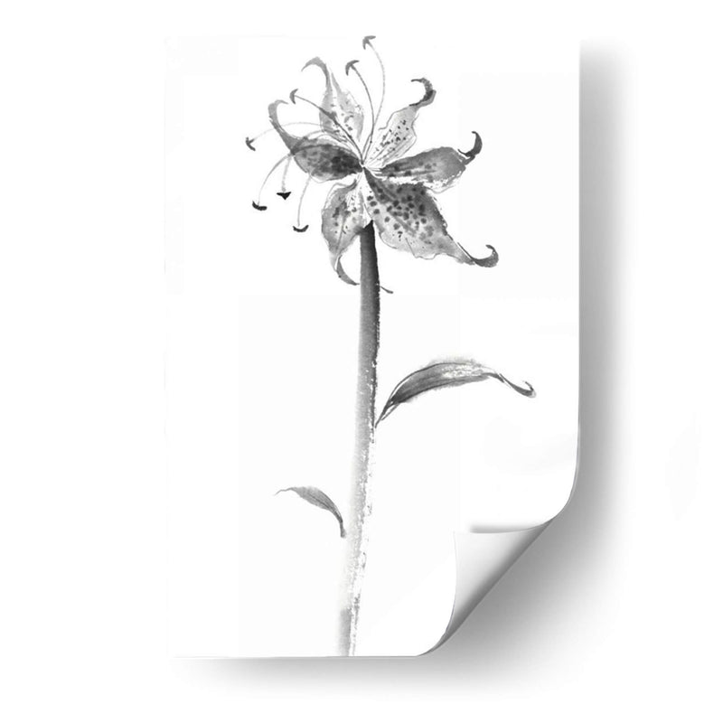 Tinta Tiger Lily - Nan Rae | Cuadro decorativo de Canvas Lab