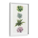 Cuadro decorativo de Canvas Lab