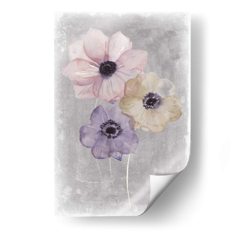 Vals Floral Ii - Grace Popp | Cuadro decorativo de Canvas Lab