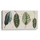 Línea De Palma Ii Ii - Grace Popp | Cuadro decorativo de Canvas Lab