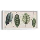 Línea De Palma Ii Ii - Grace Popp | Cuadro decorativo de Canvas Lab