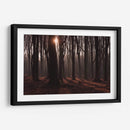 Bosque en penumbra | Cuadro decorativo de Canvas Lab
