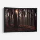 Bosque en penumbra | Cuadro decorativo de Canvas Lab