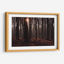 Bosque en penumbra | Cuadro decorativo de Canvas Lab
