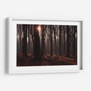 Bosque en penumbra | Cuadro decorativo de Canvas Lab