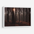 Bosque en penumbra | Cuadro decorativo de Canvas Lab