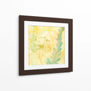 Florid Garden Ii - Renee W. Stramel | Cuadro decorativo de Canvas Lab